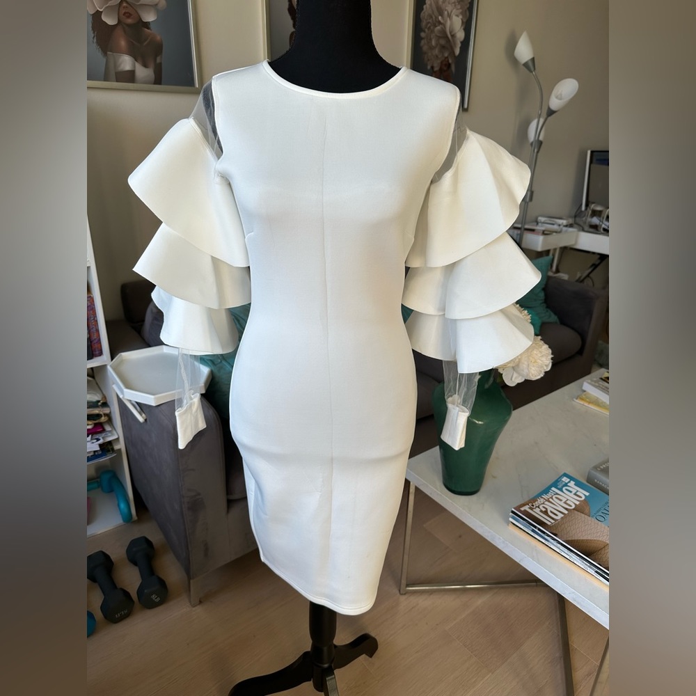 Fashion Nova Statement to Make Dress